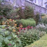 Chillingham Castle Gardens